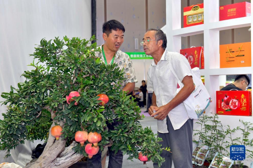 上游棋牌登录不上
